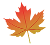 maple bank leaf logo